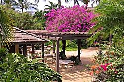 Maui Kamaole, Unit No. M-110