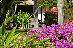 Maui Kamaole, Unit No. M-110