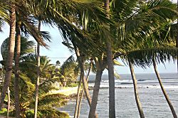 Prince Kuhio Unit #306