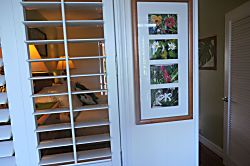 Prince Kuhio Unit #306