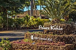 Prince Kuhio Unit #306