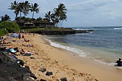 Prince Kuhio Unit #306