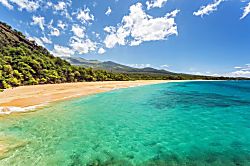 Kamaole Sands Building 9 Condo