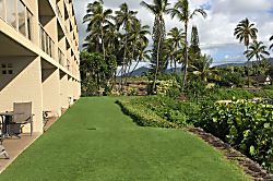 Kuhio Shores #405