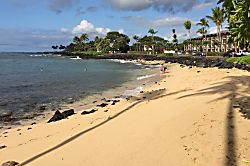 Kuhio Shores #405