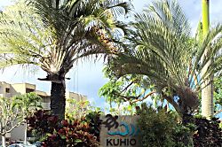 Kuhio Shores #405