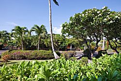 Puako Beach Condo 109