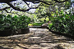 Kiahuna Plantation 232 (Building 36)