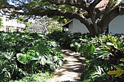Kiahuna Plantation 232 (Building 36)