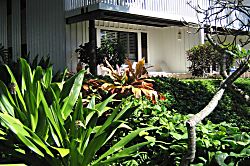 Kiahuna Plantation 232 (Building 36)