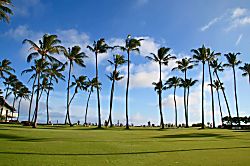 Kiahuna Plantation #322 (building 39)