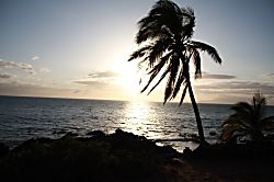 Maui Vista Complex 2nd Floor Garden View Condo