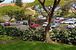 Maui Vista Complex 2nd Floor Garden View Condo