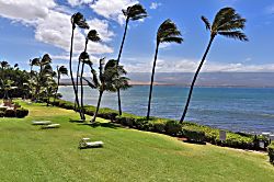Ma'alaea Banyans Oceanfront Luxury Condo 