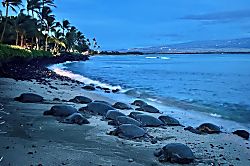 Ma'alaea Banyans Oceanfront Luxury Condo 