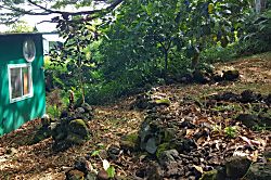 Echanted Grotto House