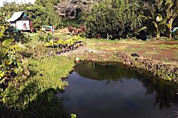 Echanted Grotto House