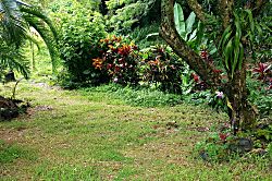 Echanted Grotto House