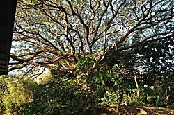 Echanted Grotto House