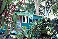 Echanted Grotto House