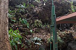 Echanted Grotto House