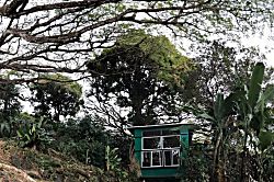 Echanted Grotto House