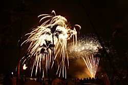 Aqua Palms Waikiki #304