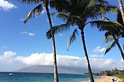Kihei Akahi 511