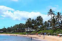 Ekahi Village 9B - Studio with Garden View