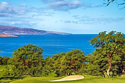 Ekahi Village 9B - Studio with Garden View