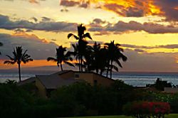 Ekahi Village 9B - Studio with Garden View