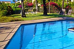 Ekahi Village 9B - Studio with Garden View