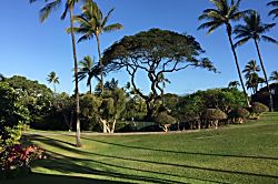 Ekahi Village 9B - Studio with Garden View