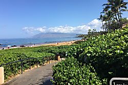 Island Surf Condo Penthouse Unit