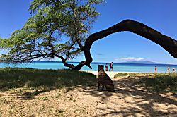 Island Surf Condo Penthouse Unit