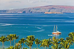 Wailea Seashore Suite K507