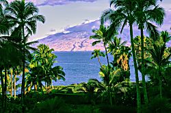 Kihei Bay Vista D101