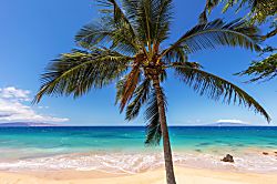 Sugar Beach Resort 128