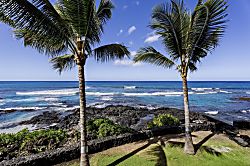 Kona Bali Kai Unit #203