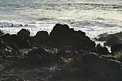 Hale Kamaole Ground Floor Condo Ocean View