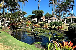 Pono Kai Resort Rental