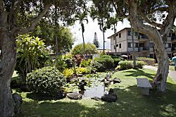 Pono Kai Resort Rental