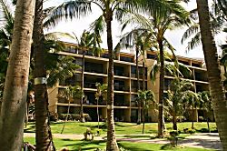 Kaanapali Shores Condo 353