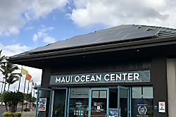 Island Sands, Ma'alaea