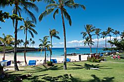 Mauna Lani Terrace F302