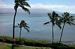 Maui Treetop Oceanfront Condo 