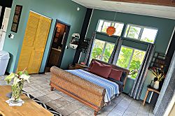 Starlit Skies of Kalapana