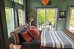 Starlit Skies of Kalapana