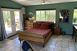 Starlit Skies of Kalapana