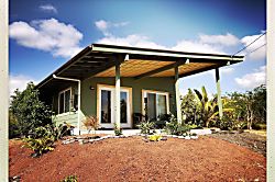 Starlit Skies of Kalapana